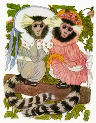 „Bliźniaki Marmozet”, 1913